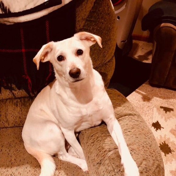 Meet your Posher, Bernadette - Picture 1 of 1